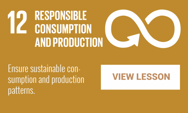 Lesson 12: Responsible Consumption and Production